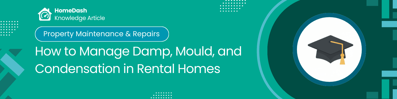 Damp, Mould, and Condensation in Rental Properties: Causes, Obligations, and Fixes
