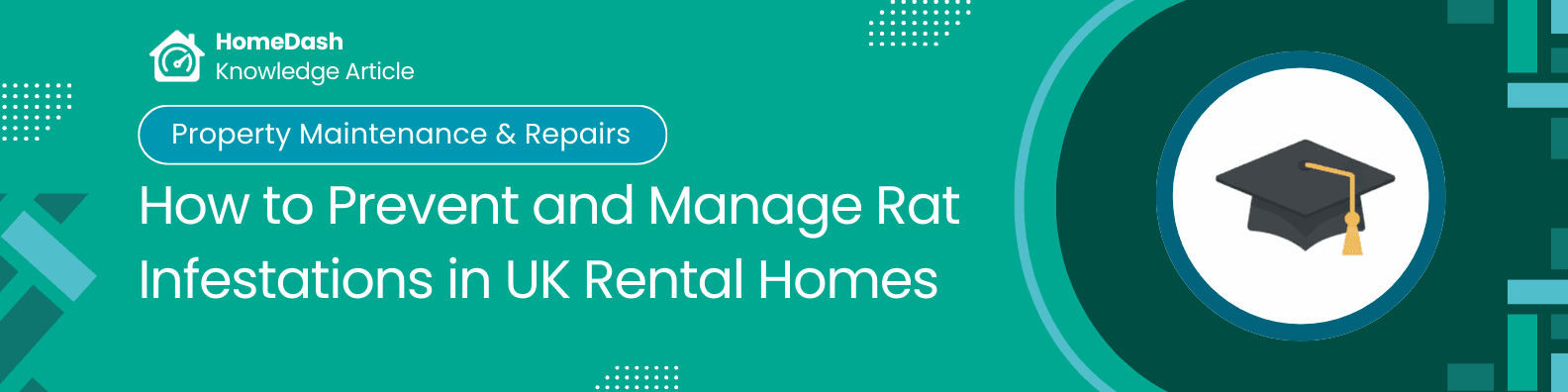 Preventing Rat Infestations in UK Rental Homes: What Landlords and Tenants Need to Know