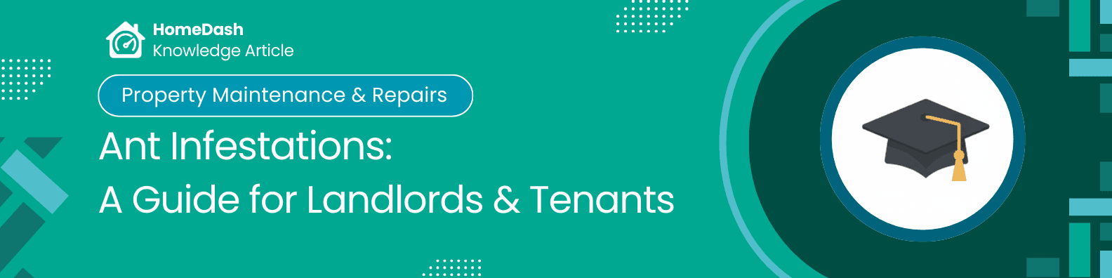 Ant Infestations in Rental Properties: Garden Ants, Pharaoh Ants, and When to Act