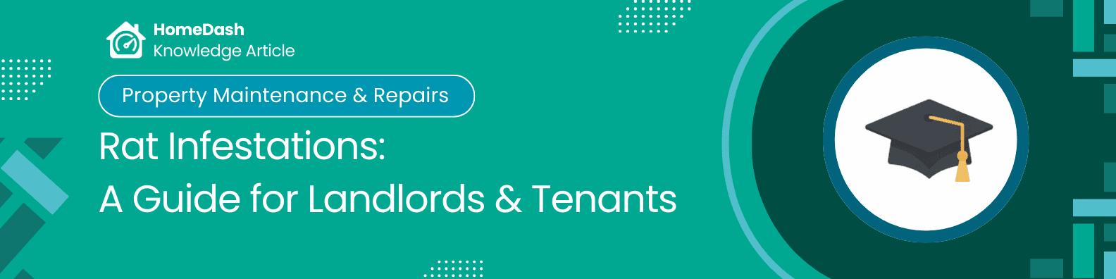 Rat Infestations in Rental Properties: Identification, Treatment, and Landlord Obligations
